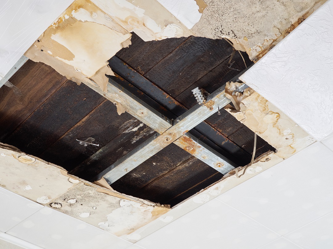 strata waterproofing problems