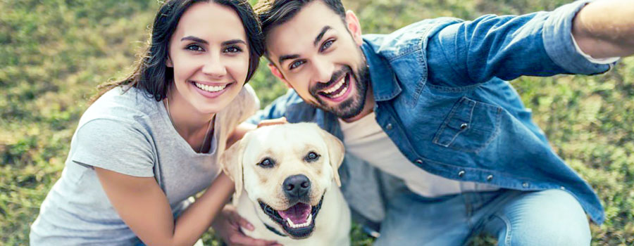 The perfect pets for your strata property header image