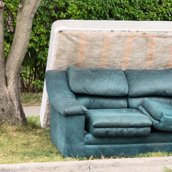 What to do with abandoned goods on common property Article feature image