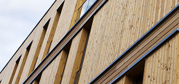 Timber cladding