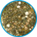 Trichoderma example