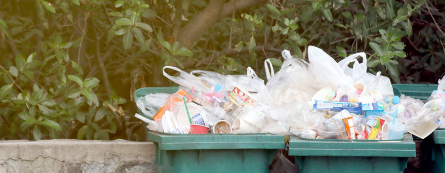 Don’t get your neighbour’s tinsel in a tangle over rubbish this holiday season