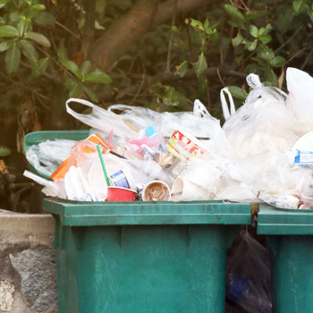 Garbage Disposal in Strata Properties | PICA Group