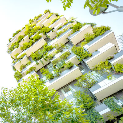 Net zero carbon emissions 2050 feature image