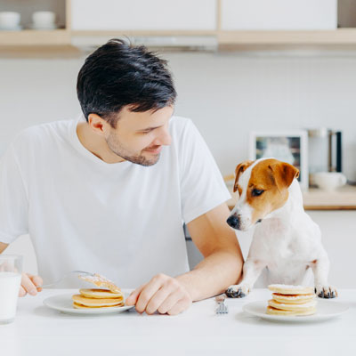 Keeping a pet in a body corporate property article feature image