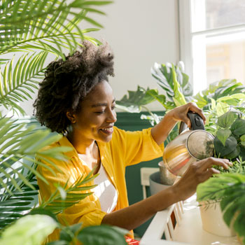 Plants and your strata property - four ways to add greenery feature image