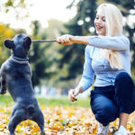 Maintenance tips your strata property this autumn feature image