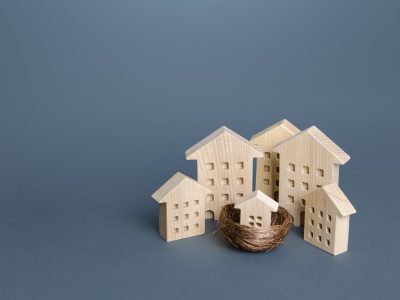 Family home concept. Residential buildings and houses in a bird's nest. Parenting metaphor. Investing in real estate. Mortgage. Buying a home for young families. Social support in purchase of housing.